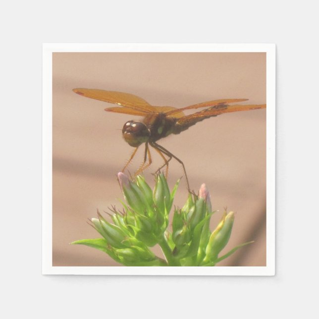 Guardanapo De Papel Dragonfly Paper Napkin (Frente)