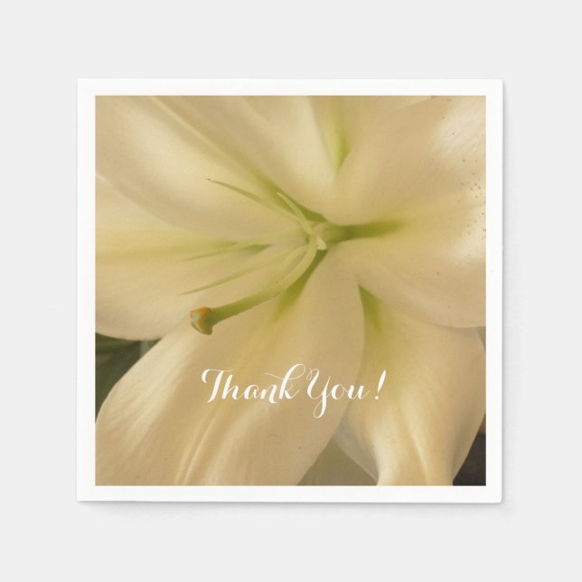 Guardanapo De Papel Elegante White Crema Napkins (Frente)