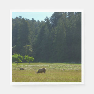 Guardanapo De Papel Elk Meadow no Parque Nacional Redwood