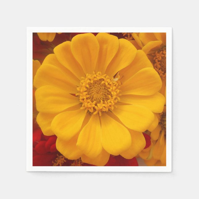 Guardanapo De Papel Emmelina (Frente)