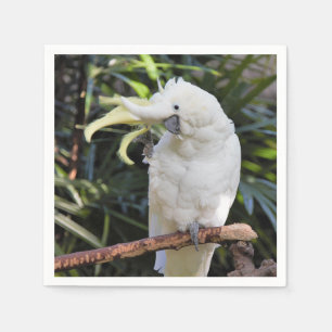 Guardanapo De Papel Engraçado, Cute Sulfur Crestado Ondas de Cockatoo