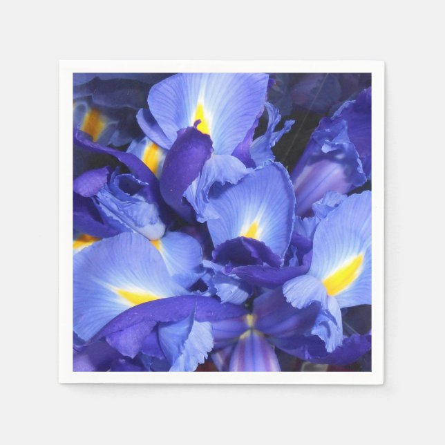 Guardanapo De Papel Ermengarda (Frente)