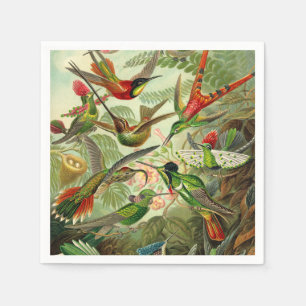 Guardanapo De Papel Ernst Haeckel Trochilidae Hummingbird