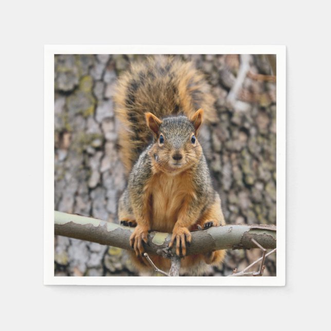 Guardanapo De Papel Escada de raposa (Frente)