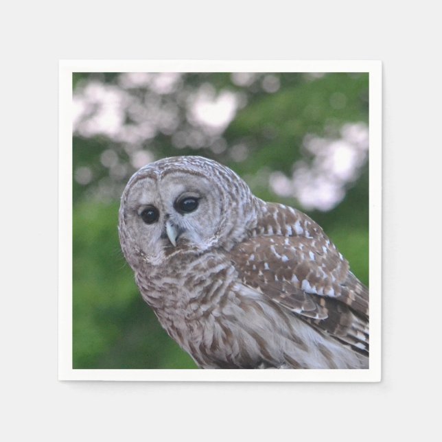 Guardanapo De Papel Espírito Da Coruja (Frente)