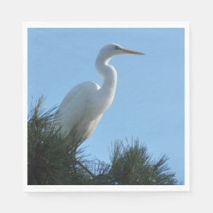 Guardanapo De Papel Excelente Egret em Sunny Florida