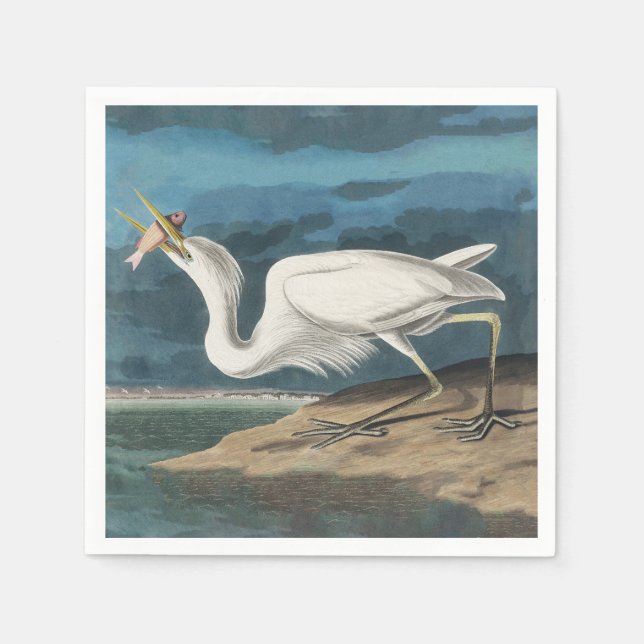 Guardanapo De Papel Excelente White Heron Audubon Bird Willife Paintin (Frente)