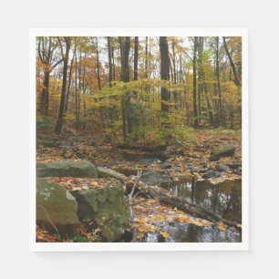 Guardanapo De Papel Fall Creek com Reflexão no Laurel Hill Park