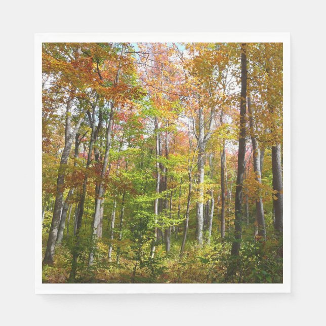 Guardanapo De Papel Fall Forest I Autumn Landscape Photoshop (Frente)