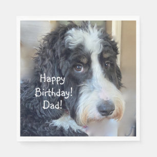 Guardanapo De Papel Feliz Aniversário Adorável Bernedoododle