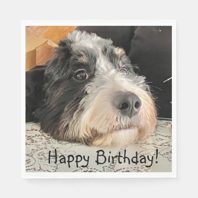 Guardanapo De Papel Feliz Aniversário, Cute Bernedoodle (Frente)