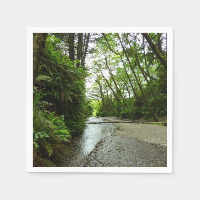 Guardanapo De Papel Fern Canyon II no Parque Nacional de Redwood (Frente)