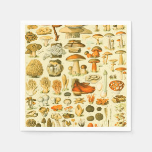 Guardanapo De Papel Ferramentas de Vintagem de Cogumelo Arte Botânica