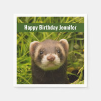 Ferret castanho-bonito no aniversário feliz da gra