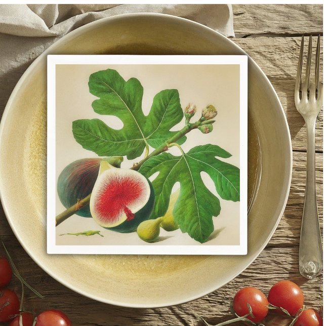 Guardanapo De Papel Figos de vindima (Criador carregado)