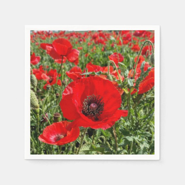 Guardanapo De Papel Flandres Poppy Napkins (Frente)