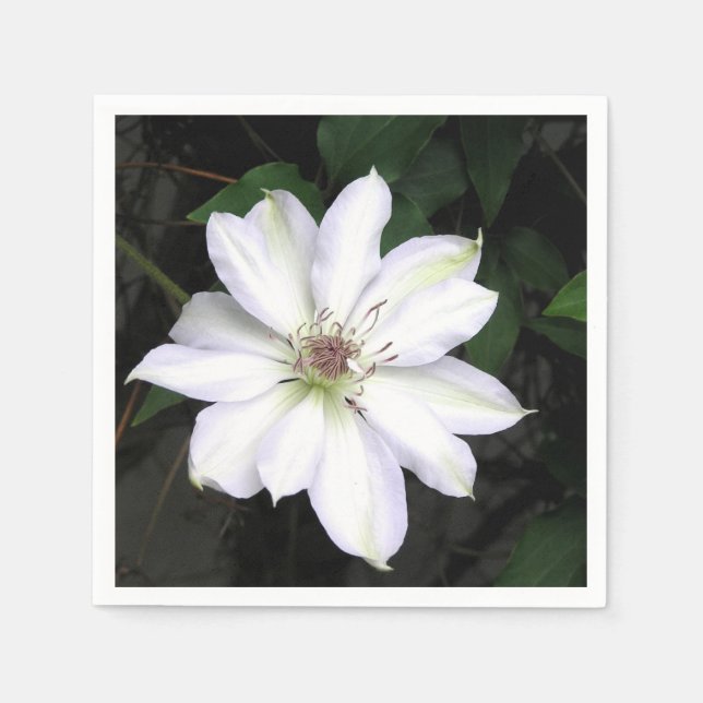 Guardanapo De Papel Flor de Clematite Branca (Frente)