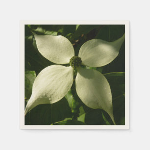 Guardanapo De Papel Flor de Dogwood Iluminado