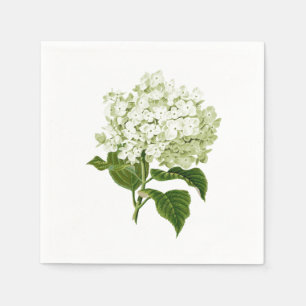 Guardanapo De Papel Flor de Hortênsia Antiga Branca e Verde Pálido