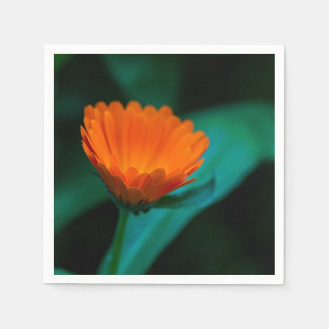 Guardanapo De Papel Flor de margarida laranja (Frente)