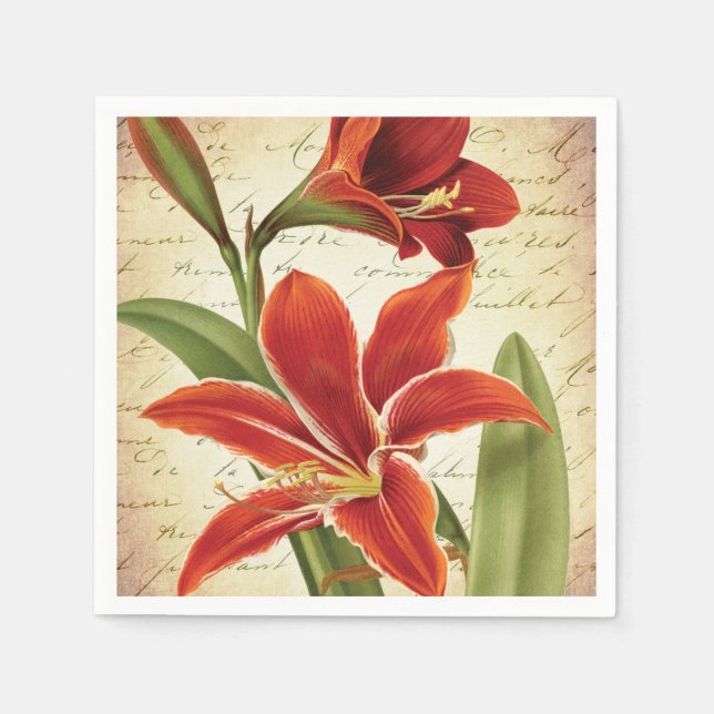 Guardanapo De Papel Flor de Natal Red Amaryllis Botânica (Frente)