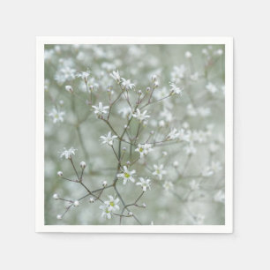 Guardanapo De Papel Flor de Respiração de Bebê Botânica Fotografia
