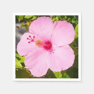 Guardanapo De Papel Flor Tropical de Hibiscus Rosa