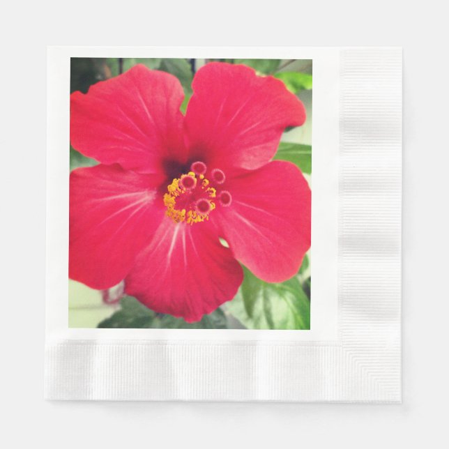 Guardanapo De Papel Flor Vermelha de Hibiscus Rosa-sinensis (Frente)
