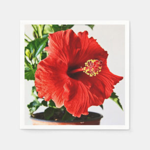 Guardanapo De Papel Flor vermelha do hibiscus