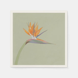 Guardanapo De Papel Flora I: Pássaro do Paraíso - Papel Nápoles