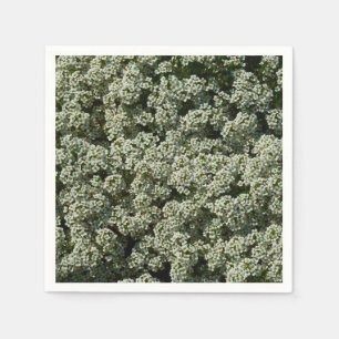 Guardanapo De Papel Flores de Alyssum Doce Floral Branco