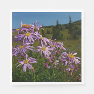 Guardanapo De Papel Flores de Aster Roxo no Monte Rainier