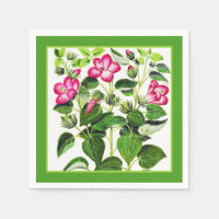 Flores de Hibiscus italianas cor-de-rosa, impressã