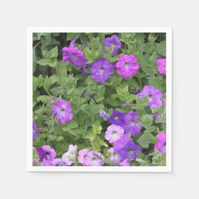 Guardanapo De Papel Flores de Petúnia Roxa Floral Primavera Verão Deco (Frente)