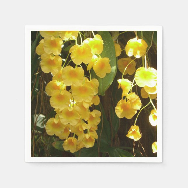Guardanapo De Papel Flores Tropicais das Orquídeas Amarelas de Pé (Frente)