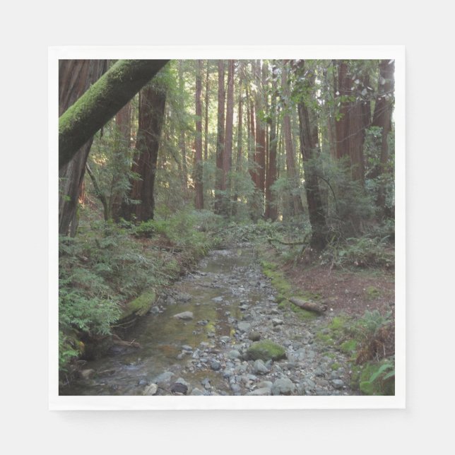 Guardanapo De Papel Floresta de Muir Woods com Corrente (Frente)