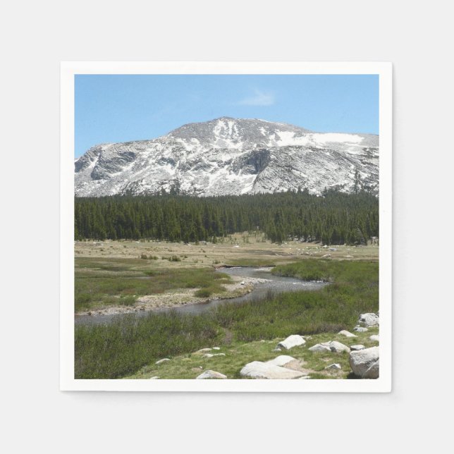 Guardanapo De Papel Fluxo de montanha do Alto País I (Frente)