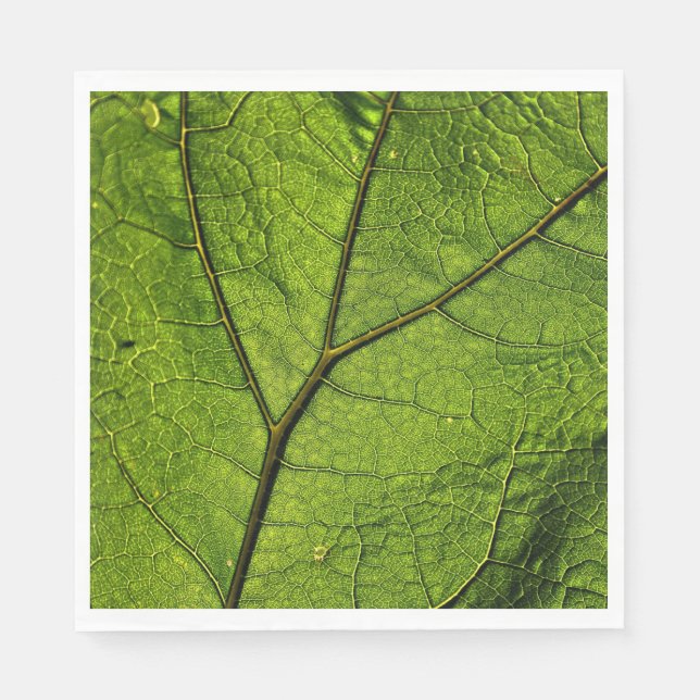 Guardanapo De Papel Folha de Borboleta Verde (Frente)