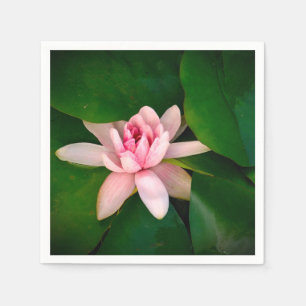 Guardanapo De Papel Folha do verde da foto da flor da flor de Lotus