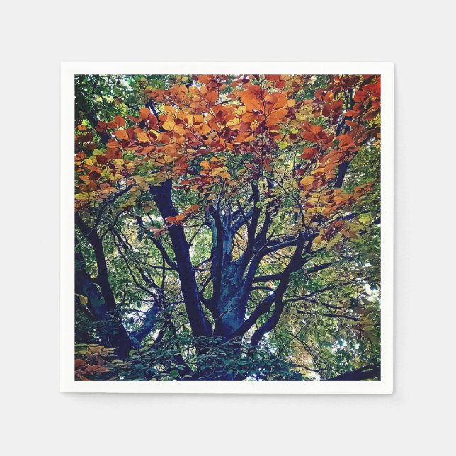 Guardanapo De Papel Folhas de laranja (Frente)