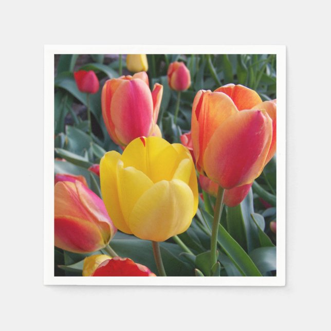 Guardanapo De Papel Foto (Frente)