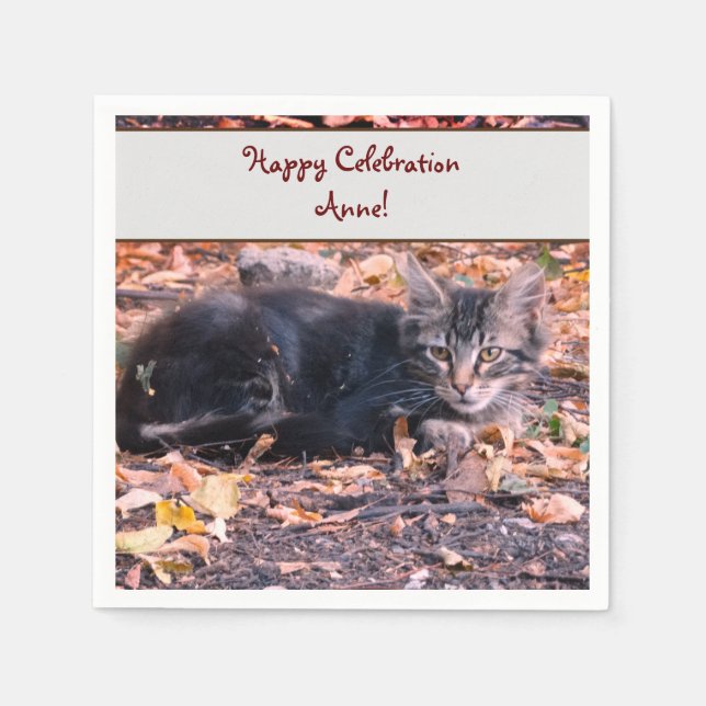 Guardanapo De Papel Foto Cat (Frente)