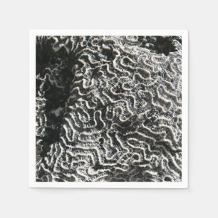Guardanapo De Papel Foto da natureza do Abstrato Black and White Coral