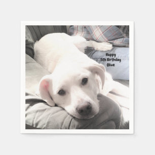 Guardanapo De Papel Foto de Cachorro Branco Cachorro Cansado no Sofá