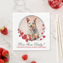 Foto do Australian Cattle Dog no Casamento