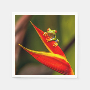 Guardanapo De Papel Foto do Sapo da Árvore Vermelha Wildlife