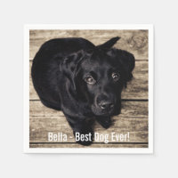 Foto personalizada do cão preto no laboratório e n