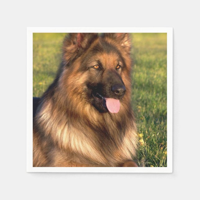 Guardanapo De Papel Foto personalizada personalizada de Pet do Dog Lov (Frente)