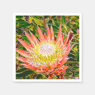 Guardanapo De Papel Fotografia de Protea australiana