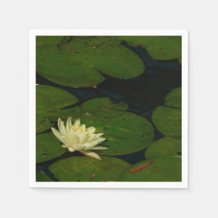 Guardanapo De Papel Fotografia Floral Pacífica Branca I